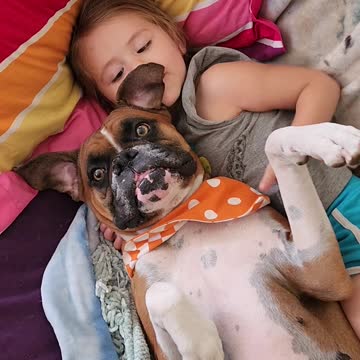 Dogs are a Girls Best Friend