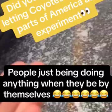 Coyote Bites Clueless Human