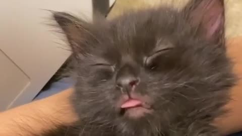 Bleeeeeep