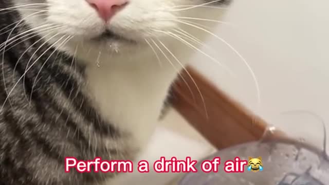 Perform a drink of air😹