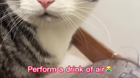 Perform a drink of air😹