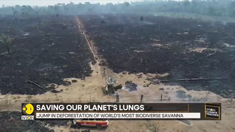 WION Climate Tracker_ Deforestation in Brazilian Savanna rises by 25%, says report _ WION