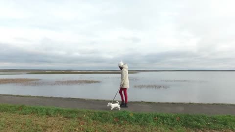 girl walks with a puppy jack russeil