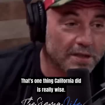 Joe Rogan - getting eaten Dck first By A Bear