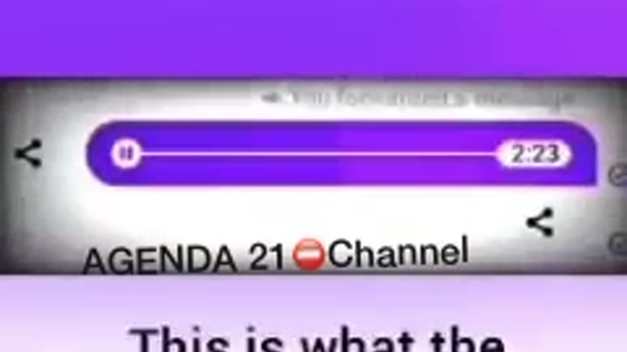 STOP THE CHILD MURDERS