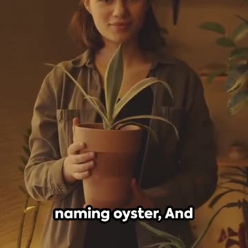 Gweneth Paltrow's SECRET STASH of Baby Names- Weird AI Prompt 61