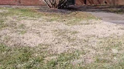 True Freedom in America for all men, thank God we are all free.