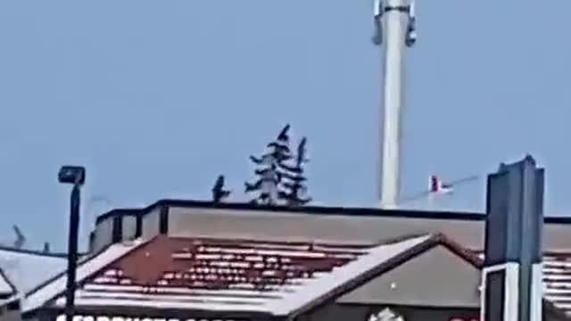Live NCA video documenting the EMF radiation from two cellular towers