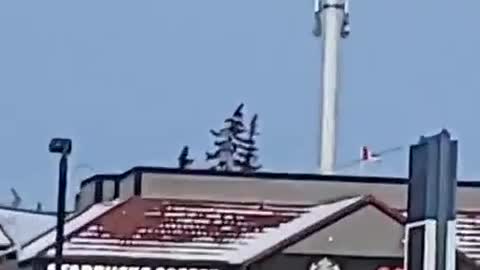 Live NCA video documenting the EMF radiation from two cellular towers