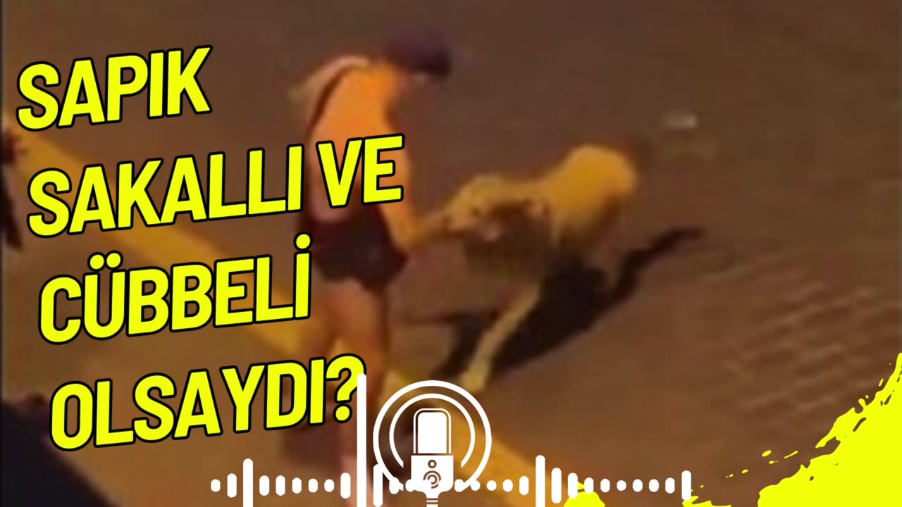 Sapık Sakallı ve Cübbeli Olsaydı?