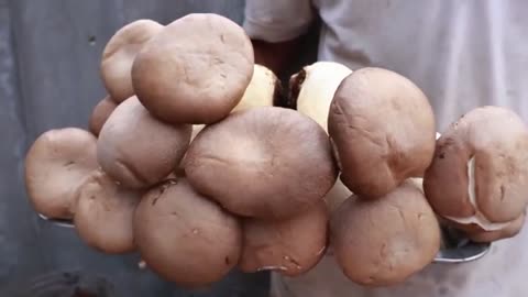 Mushrooms growing it home simple from recycle