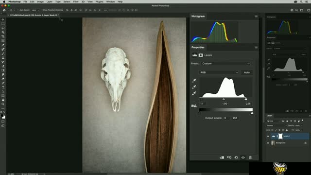 Adjusting color and tone with Levels and Curves