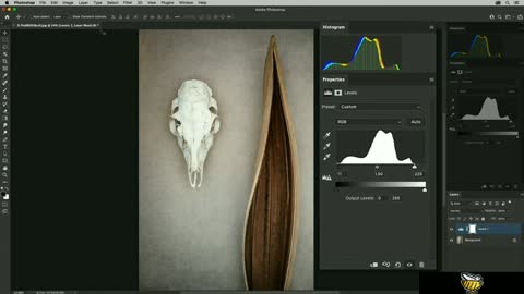 Adjusting color and tone with Levels and Curves