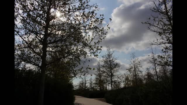 Petralona - Kallithea
