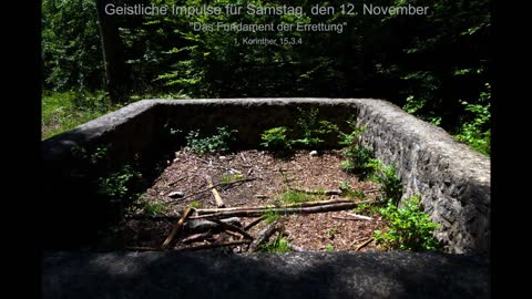 Geistliche Impulse für Samstag, den 12. November