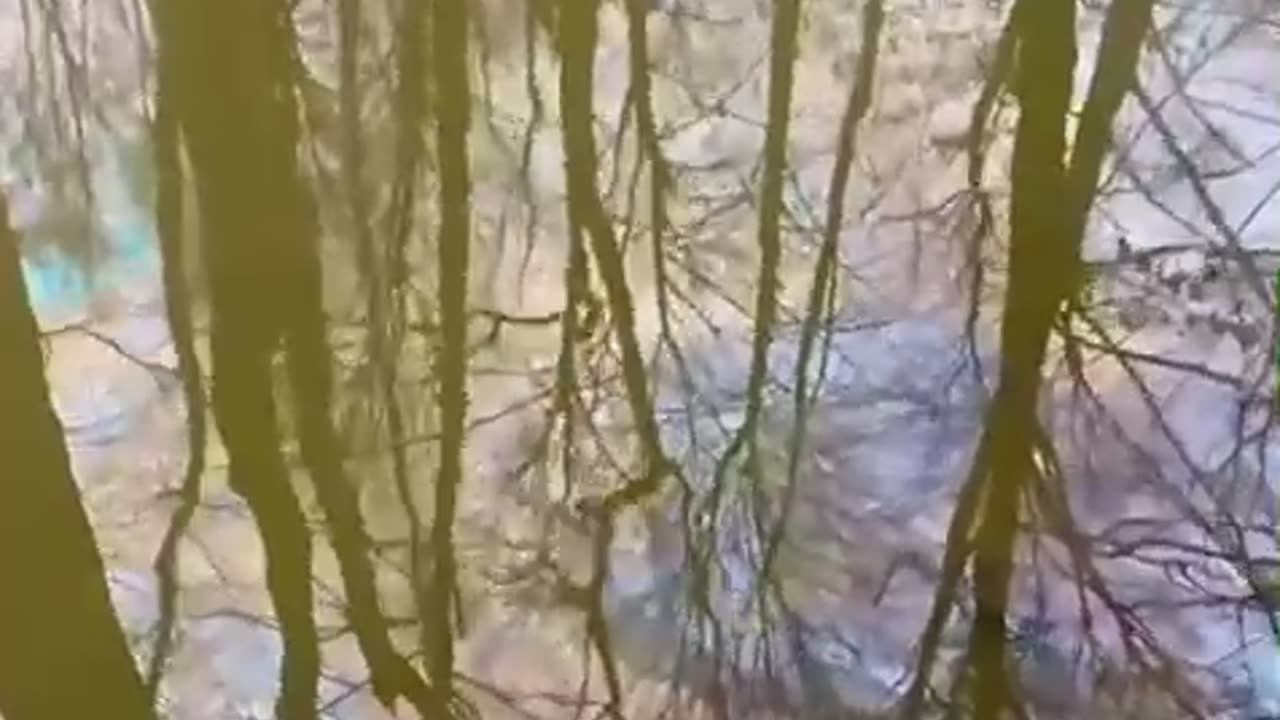 That’s not good