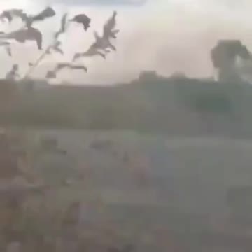 Support arrives in the middle of the battle