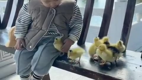 Cute Baby With So Cute Chicks #shorts #viral #shortsvideo #video