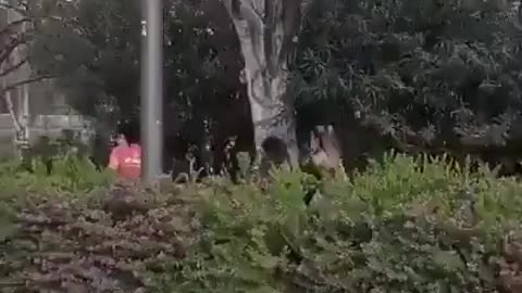 Boosted zombie angry