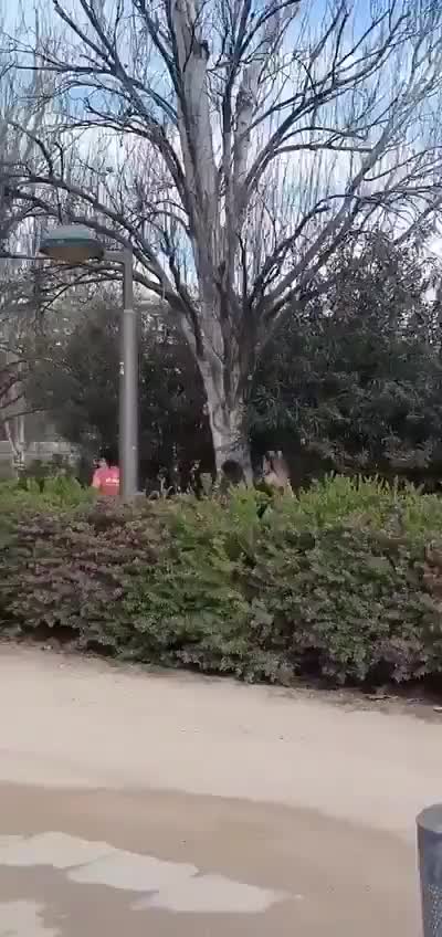 Boosted zombie angry