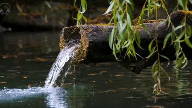 NATURAL SOUNDS OF WATER