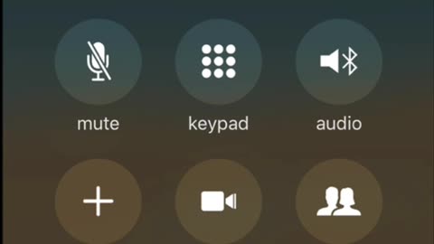 Canadian Citizen to Project Veritas