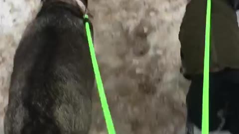 winter walk