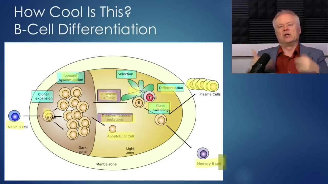 Dr. Chris Martenson explains the beauty of our immune system