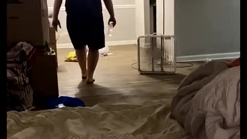 Late Night Pet Pig Surprise for Boyfriend
