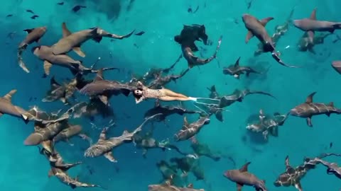 Girl playing with dolphins fish