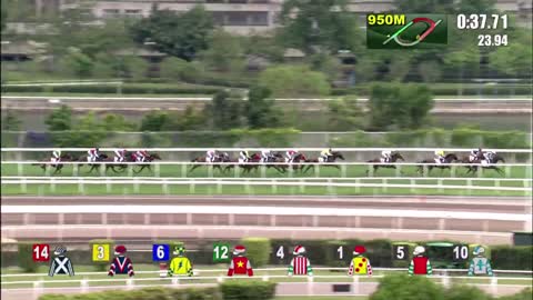 Horce_Race_2022050702_English