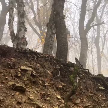 Долгожданная встреча ,Reunião tão esperada