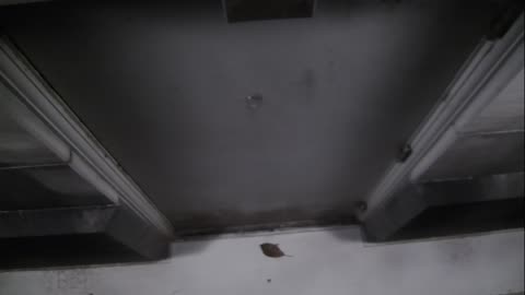 0921USCG00HT18Exterior_2021-01-06_02h00min01s153ms.mp4