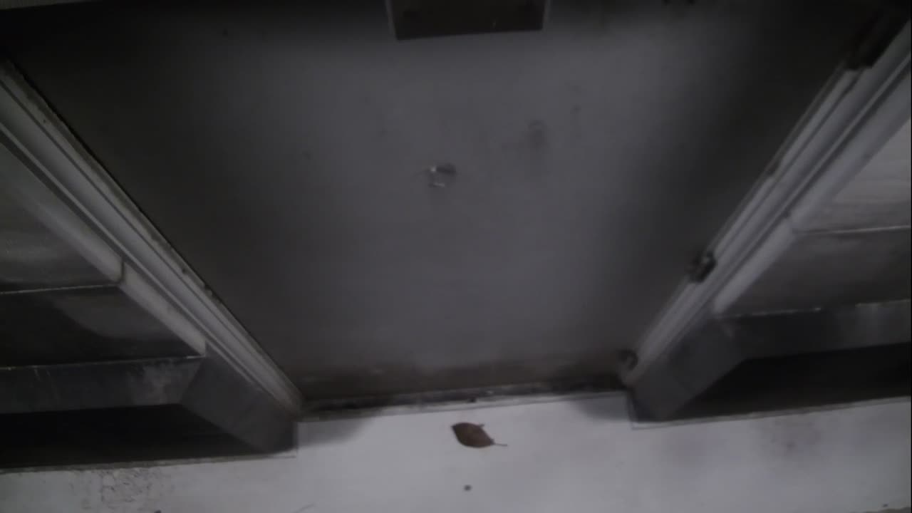 0921USCG00HT18Exterior_2021-01-06_02h00min01s153ms.mp4