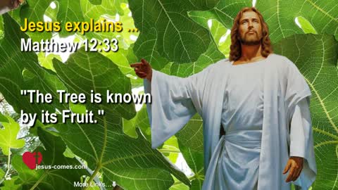The Tree is known by its Fruit ❤️ Jesus Christ explains Matthew 1233