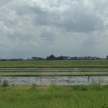 SAWAH, VILLAGE @INDONESIA