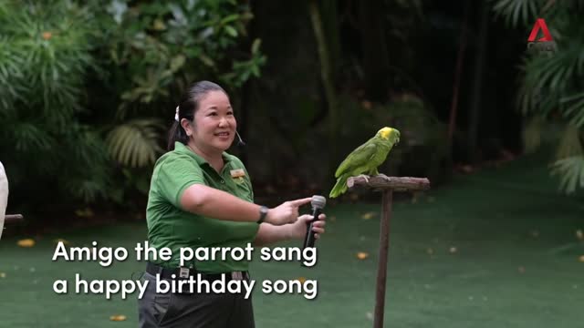 Jurong Bird Park's last day