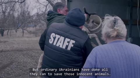 Another terrible crime of the russian invaders. They killed