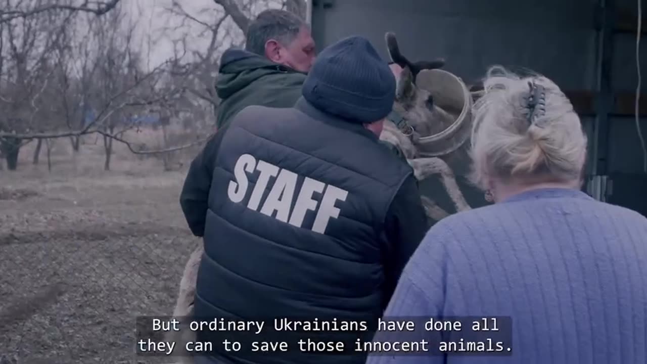 Another terrible crime of the russian invaders. They killed