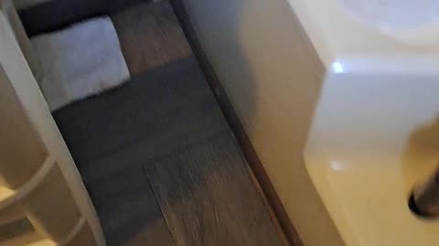 Bathroom floor