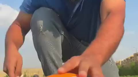 💜💛💚💙❤Funny and good video❤💙💚💛💜