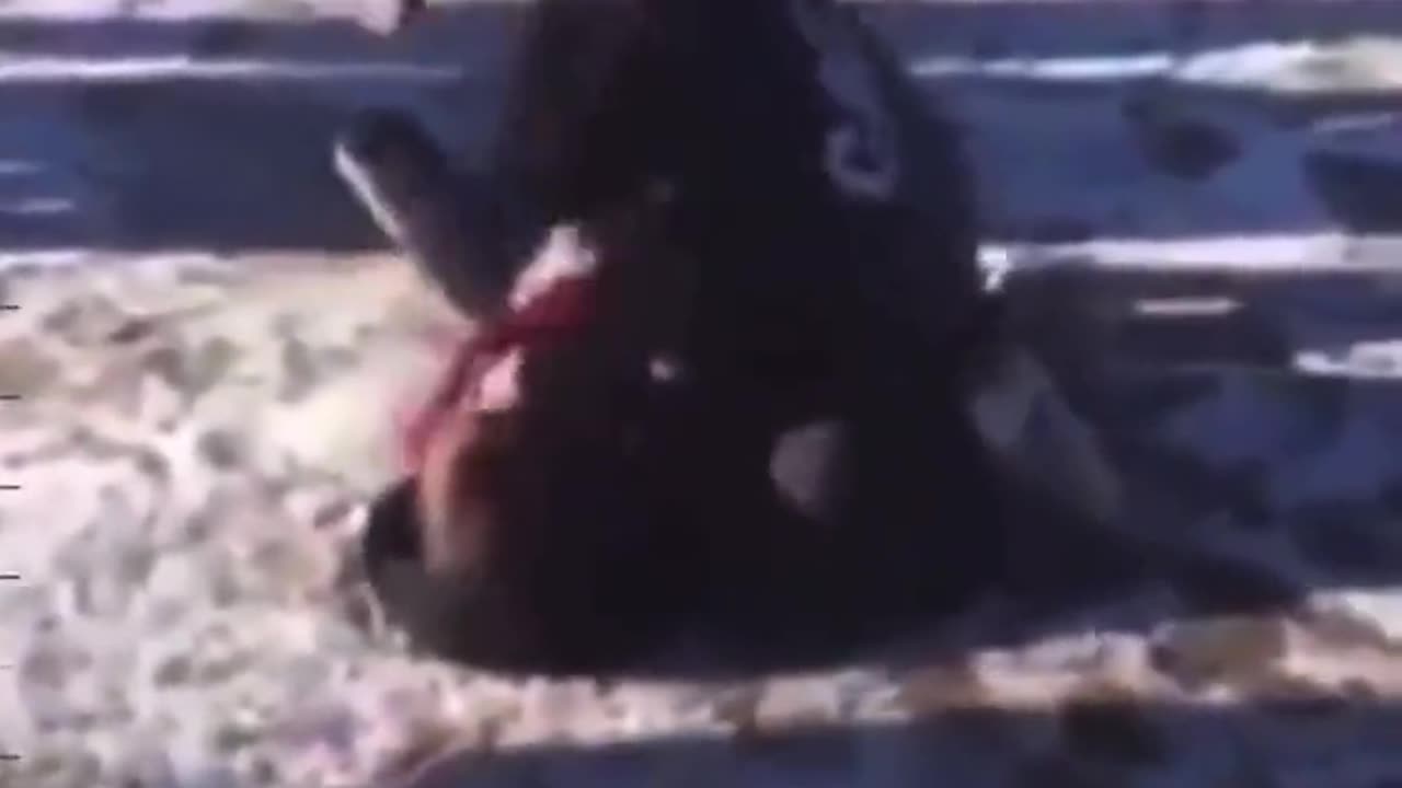 Devastating Drop Kick