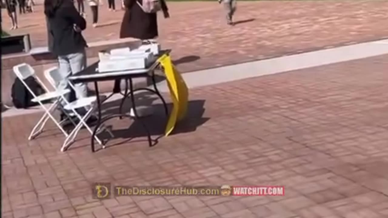 Gays against groomers hitting the nail on the head.