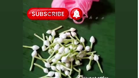 Bgm #Malipoo flower