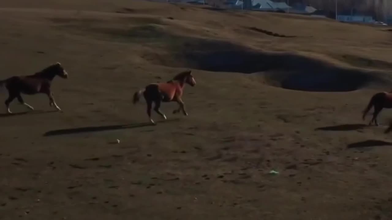 SYRGALYM | ESEN MEDIA