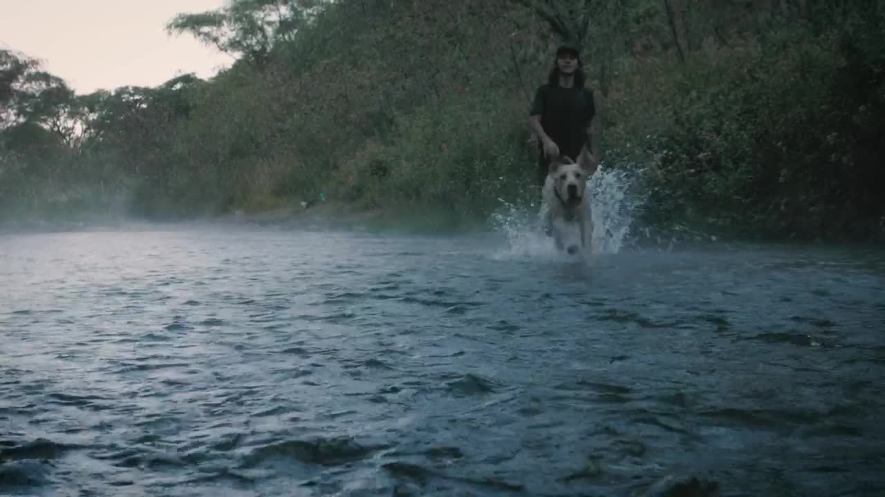 Dog and owner playing with a ball in a creek