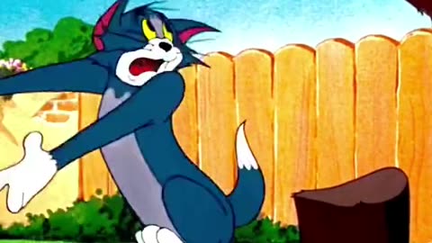 Tom and jerry fight