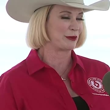 DAWN BUCKINGHAM, TEXAS LAND COMMISSIONER.