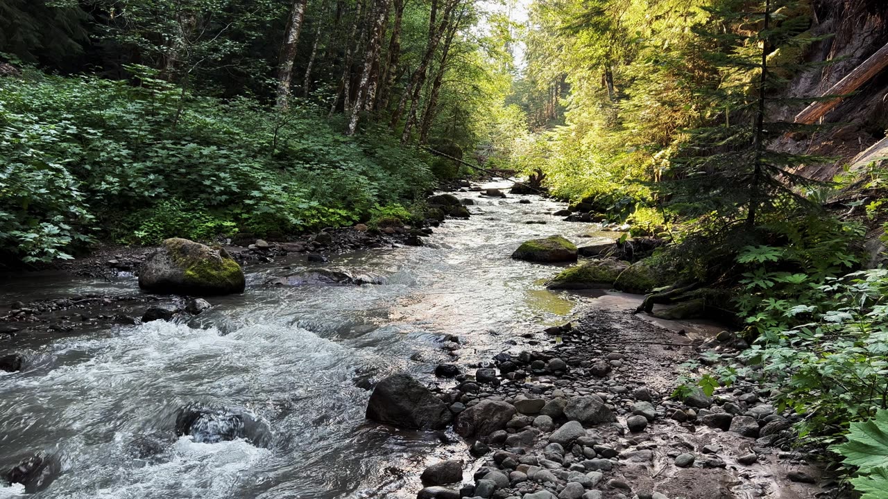 Muddy Fork Creek Log Bridge Crossing on PCT! | Ramona Falls | Mount Hood Wilderness | 4K | Oregon