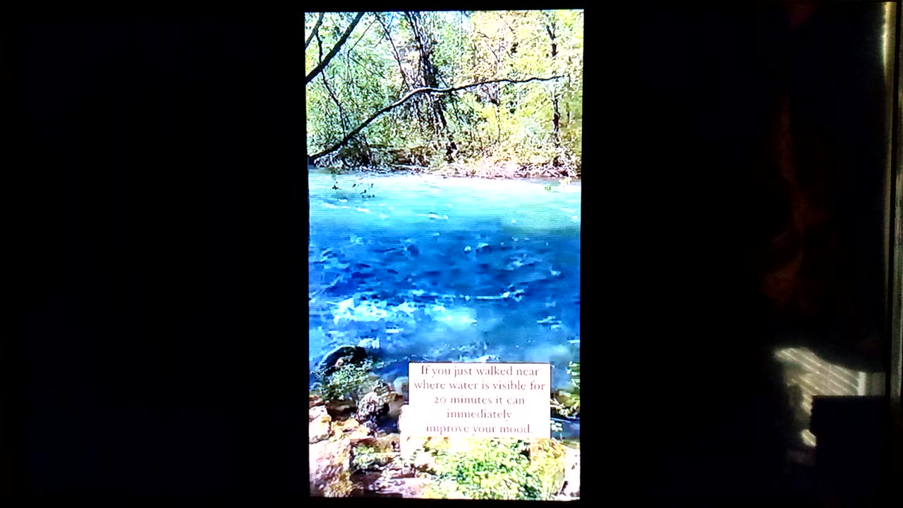 WATER HELPS YOUR MOOD, FACTS.- ENDURE THESE LAST DAYZ!...